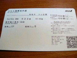 2008年9月18日 ANA622便チケット